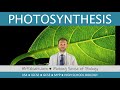 Photosynthesis and Plant Functions