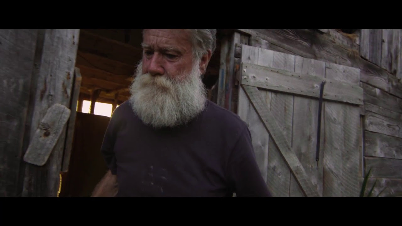 Peter and the Farm Vorschaubild des Trailers
