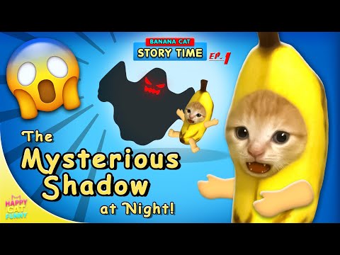 Banana Cat and the Mysterious Shadow at Night!