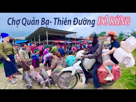 THÁNG CUỐI NĂM CHỢ QUẢN BẠ HÀ GIANG VỠ TRẬN