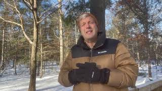 Nature Nugget: Red-whiskered Bulbul