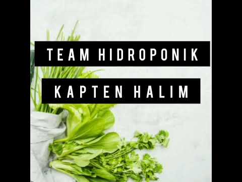 Pembuatan rak media tanam Hidroponik