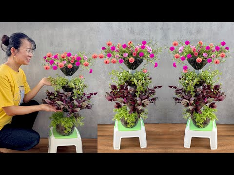 Upgrade your small garden with old household items! The best plants for summer
