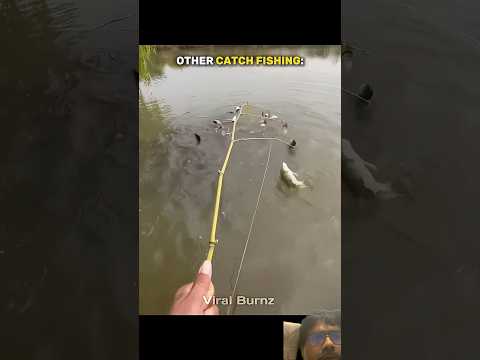 Fishing #fishing #funny #facts #viral #fishing #trending #tranding #shortvideos #shortfeed