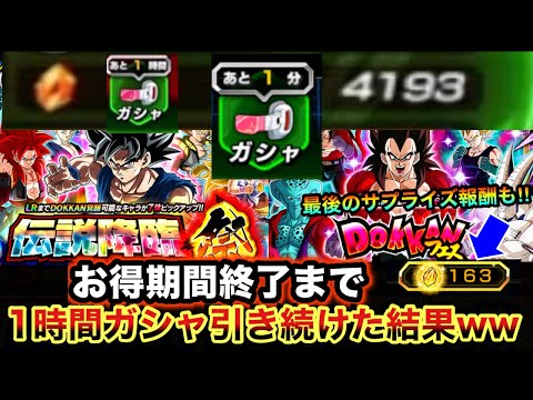 最後の最後に11周年ガシャ全ブッパしちゃったw【ドッカンバトル11周年】