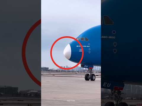 What’s Inside An Airplane’s Nose? 😳✈️