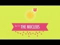 Exploring the Nucleus and Atomic Structure