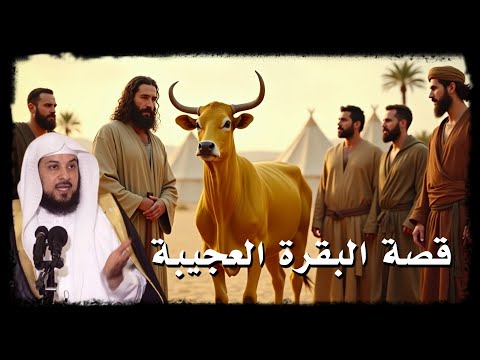 لماذا أمر الله بذبح بقرة لحل جريمة قتل؟ القصة الكاملة المذهلة - الشيخ محمد العريفي