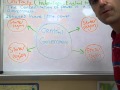 Government Systems and Powers