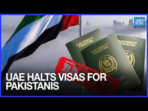 YouTube video thumbnail: Interior Ministry Official Tells Senate UAE Halting Visas for Pakistanis 