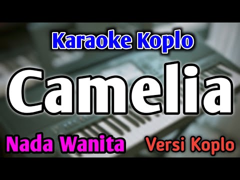 CAMELIA - KARAOKE || NADA WANITA CEWEK || Versi Koplo