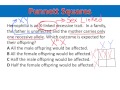 Genetics: Punnett Squares and Traits