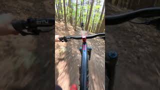 Finale flow 👌🏻 #mtb #enduro #downhill #trailride #bestlife