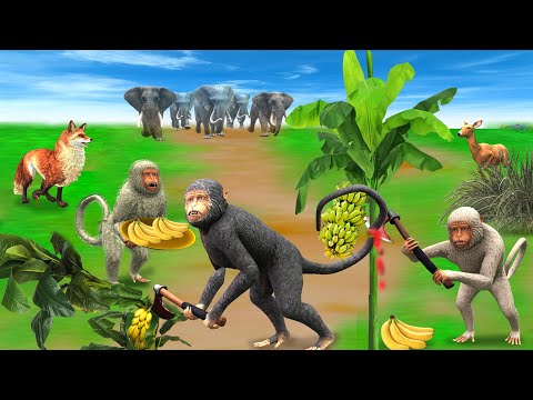 तीन मुर्ख बंदर को मिला जादुई केला का पेड़ 3 Murkh Bandar Jadui Kela Ka Ped ki Kahani Three Monkey's