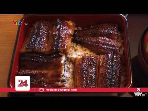 Niềm đam mê lươn của người Nhật Bản | VTV24