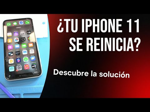 iPhone 11 se reinicia