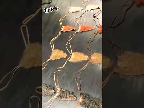 Madanm sa fou ouii 😂😂😂