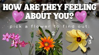 How Are They Feeling About You? 🌹 WITH Channelled Messages ✍🏽 Pick A Flower 🌸🌼🌺 Tarot Reading