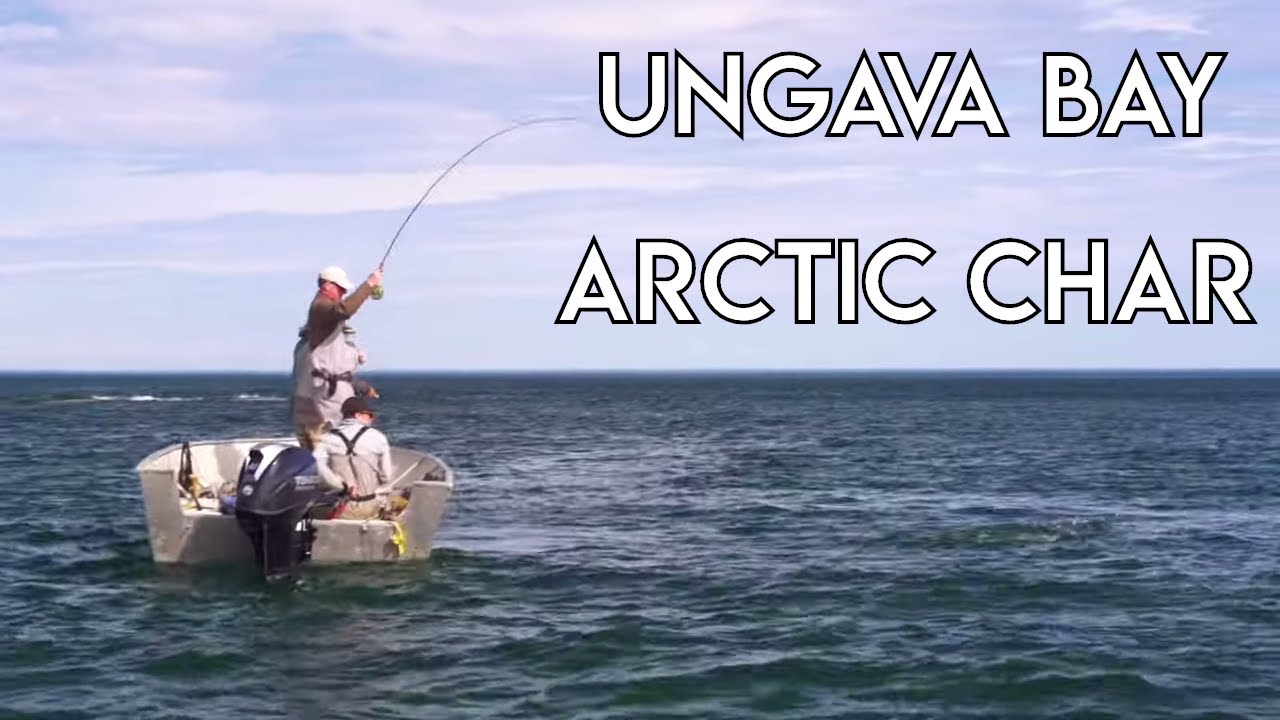 Ungava Bay The New Fly Fisher