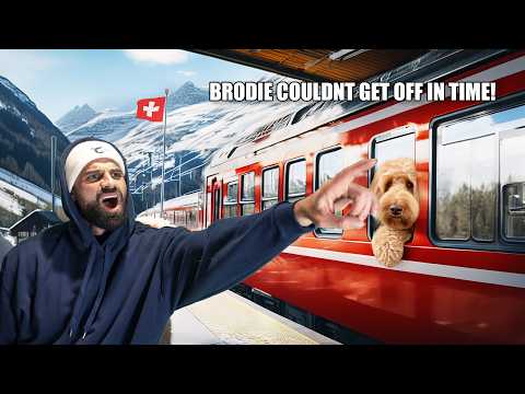 Europe Adventure With The World’s Most Famous Dog – Travel Tips For Large Dogs!