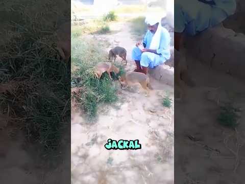 This Is Called Love ❤️