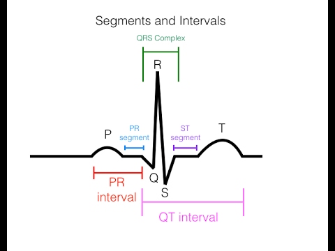 EKG/ECG Interpretation (Basic) : Easy and Simple! - YouTube