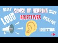 Types of Sounds and Their Characteristics
