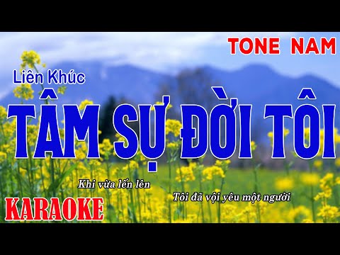 KARAOKE BEAT MỚI -TONE NAM | Tâm Sự Đời Tôi, Cõi Nhớ, Hoa Tím Người Xưa| Karaoke Liên Khúc Nhạc Sống