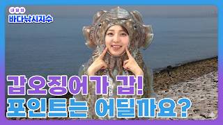 [바다낚시지수]26년 4월 24일 대부분 해황 지수 좋음! (제주 연안 제외) /해양예보방송