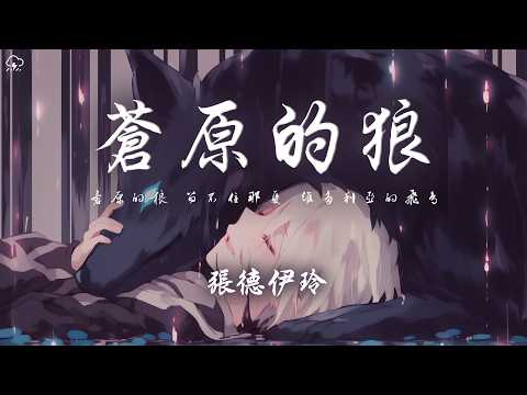 張德伊玲 - 蒼原的狼「蒼原的狼 留不住那隻 維多利亞的飛鳥 我的世界 失去你也許 會變成一座孤島」【動態歌詞/PinyinLyrics】♪