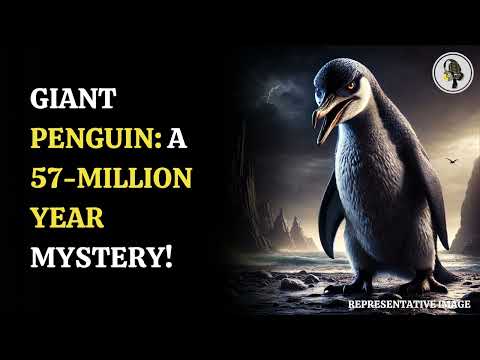 Fossil of Giant 150kg Penguin Discovered in New Zealand | WION Podcast
