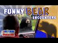 Bear Encounter Safety and Reactions