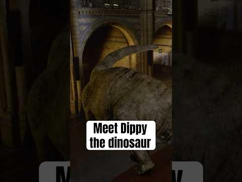 Sir David Attenborough befriends a dinosaur, the Diplodocus. #naturepbs #davidattenborough #dinosaur