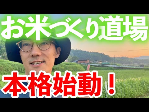お米の自給自足を目指す！アマチュア農家を育てる新しいプロジェクトが始動しました！