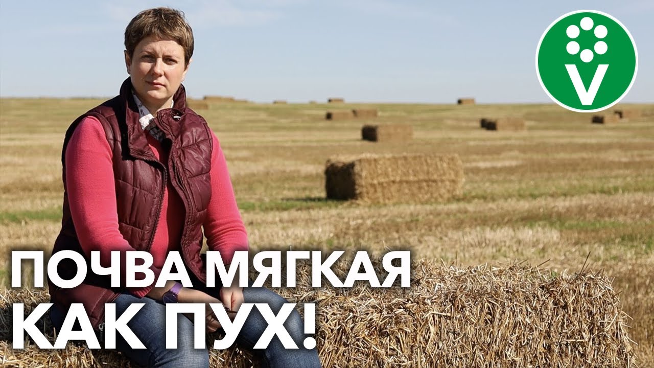 Обычная солома превратит почву в идеальную! А вы знали?