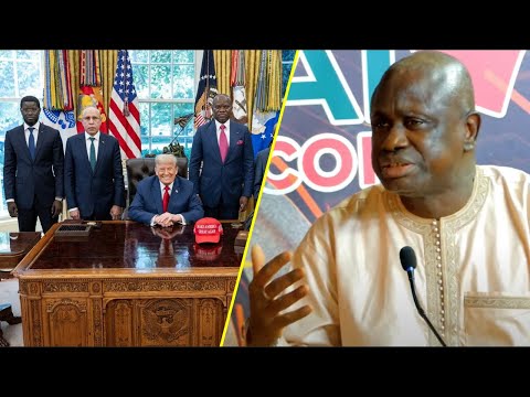 Photo, audience Trump - Diomaye: Seydi Gassama dévoile un détail qui a échappé aux "saboteurs"