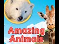 Animal Adaptations and Functions