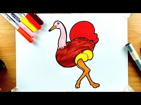 Ostrich Drawing and Coloring || Ostrich Drawing 🐦😍