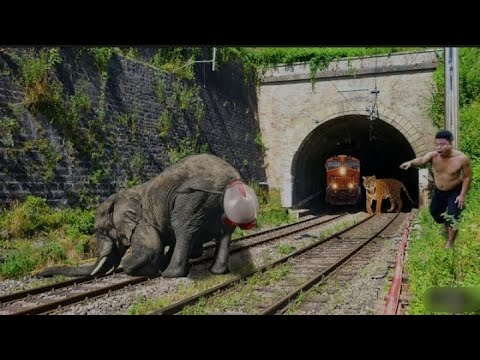 Giant Sleeping Elephant vs Two Trains | Stops the train | BeamNG.Drive