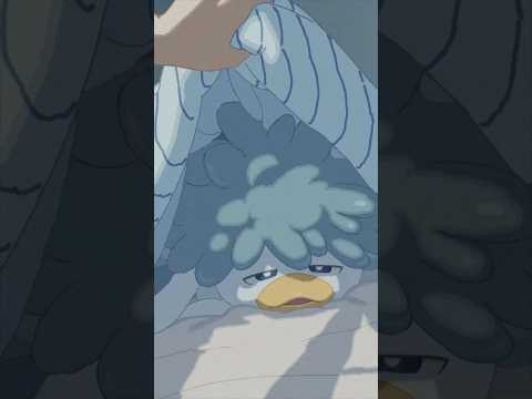 Pokemon TCG News