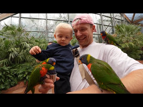EnzoKnol