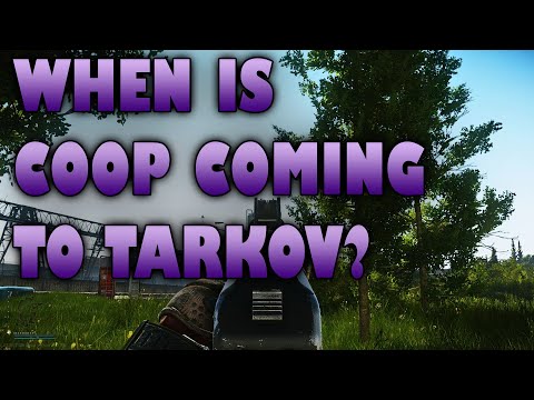 escape from tarkov coop