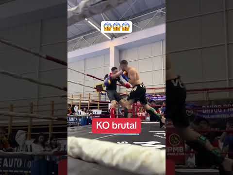 🥊🥊🥊 kickboxing #box #motivation #viralvideo #boxning #kickboxing #reels #viralvideo #fyp