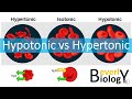 Hypotonic vs Hypertonic Solutions Explained