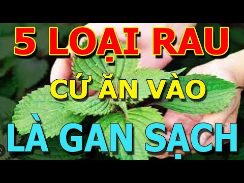 5 LOẠI RAU Là VUA GIẢI ĐỘC GAN, Ăn Tới Đâu GAN SẠCH TỚI ĐÓ, Biết Mà Ăn Sớm Sẽ Trường Thọ 120 Tuổi