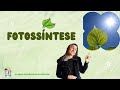 Fotossíntese: Conceitos e Funções