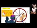 Hamster Wheel Energy Generation