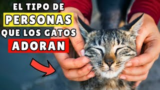 HAZ ESTO y tu gato nunca te OLVIDARÁ (9 rasgos que aman 😍)