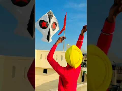Basant in PHILLAOR ❤ #kite_flying #reels