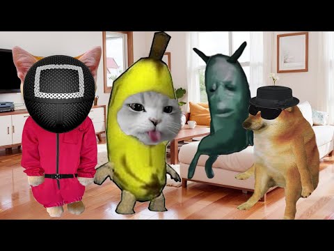 Banana Cat 🍌🐱 Life Series Compilation #45 😸🤭